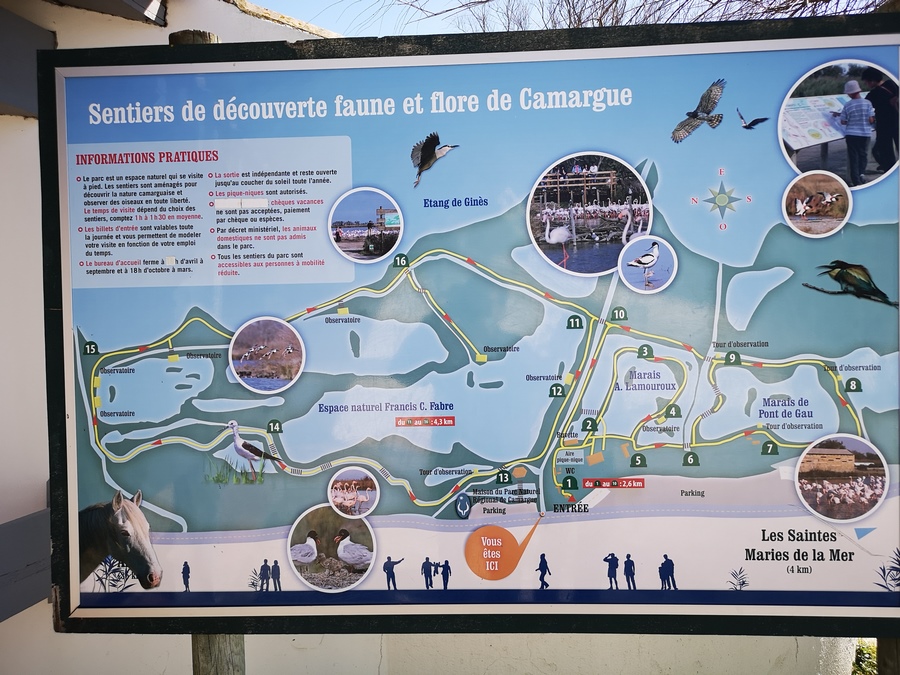 Randonnée – Le Parc Ornithologique du Pont de Gau