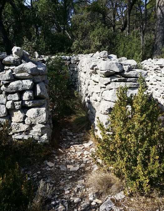 Randonnée – Lagnes – Tête du soldat et Mur de la peste