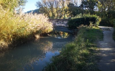 Randonnée – Canal de Carpentras – Pont des Arrayès