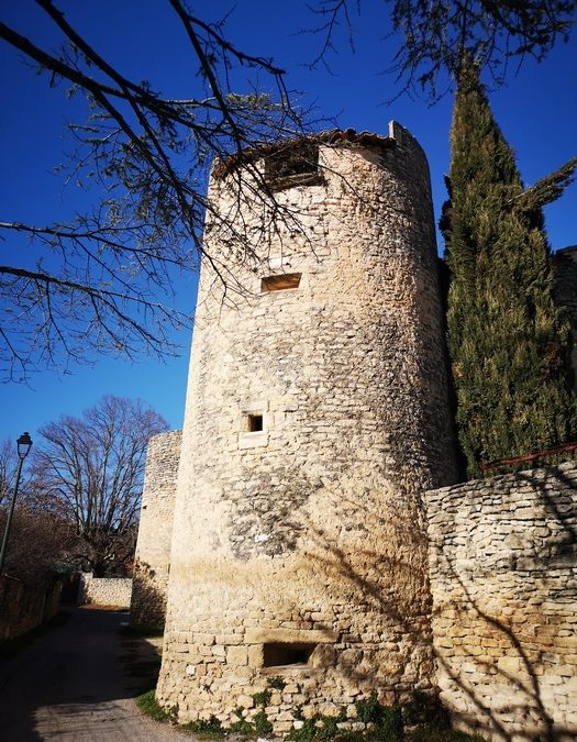 Randonnée – Mur de la peste depuis Cabrières d’Avignon