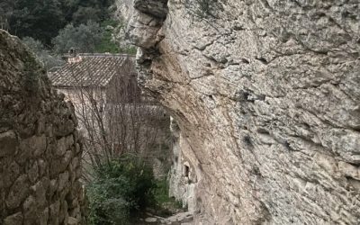 Randonnée – La route des cèdres depuis Oppède le vieux