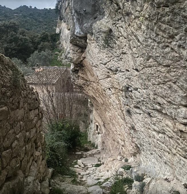 Randonnée – La route des cèdres depuis Oppède le vieux